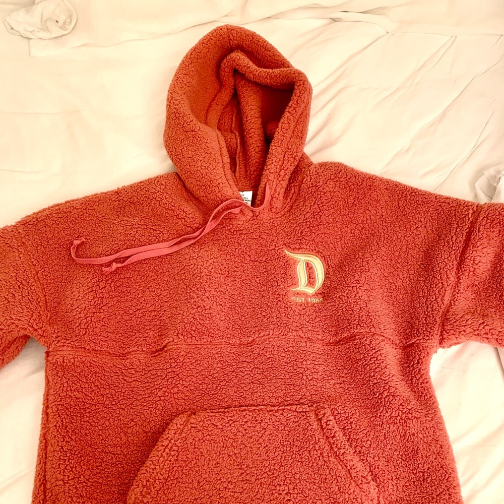 Disneyland Sherpa Spirit Jersey Large